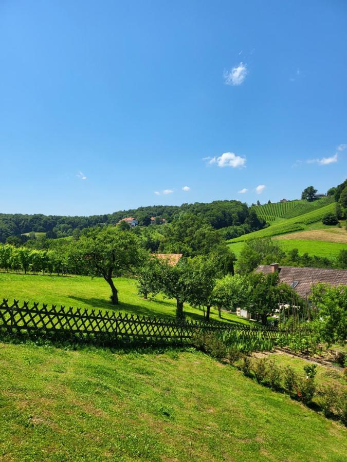 Ferienhaus Zangl Am Seggauberg - Suedsteiermark 레이브니츠 외부 사진