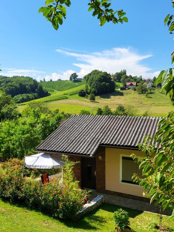 Ferienhaus Zangl Am Seggauberg - Suedsteiermark 레이브니츠 외부 사진