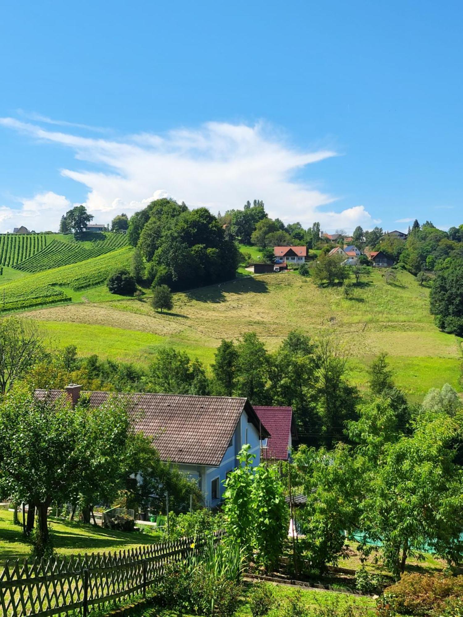 Ferienhaus Zangl Am Seggauberg - Suedsteiermark 레이브니츠 외부 사진