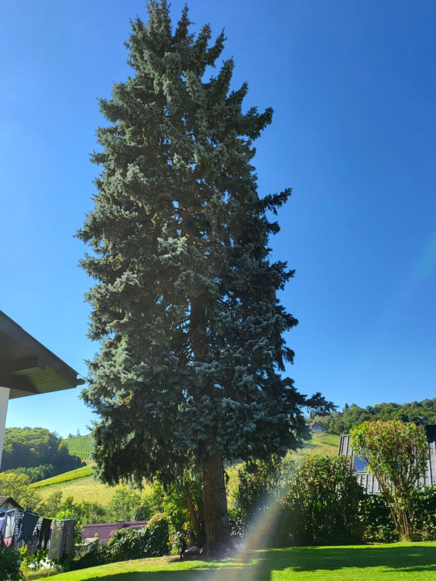 Ferienhaus Zangl Am Seggauberg - Suedsteiermark 레이브니츠 외부 사진