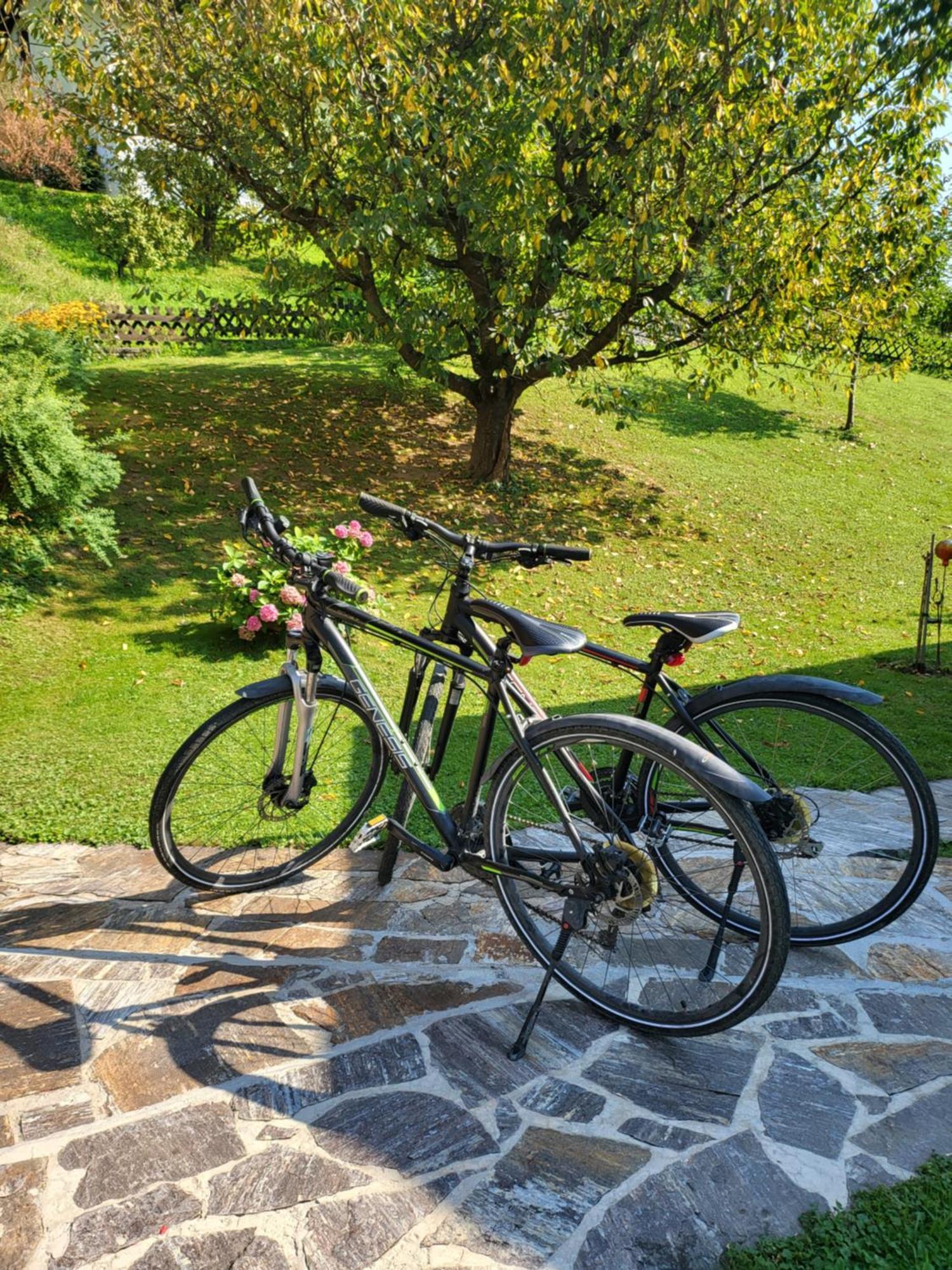 Ferienhaus Zangl Am Seggauberg - Suedsteiermark 레이브니츠 외부 사진